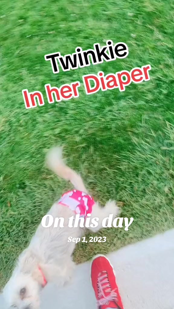 @Charlie(Ezzyduzit21)🇨🇦