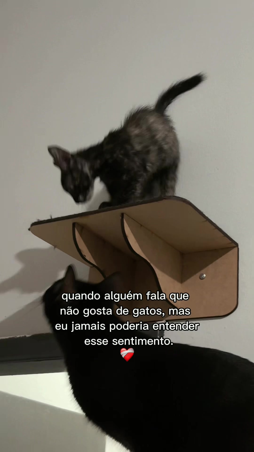 @Jéssica Teixeira