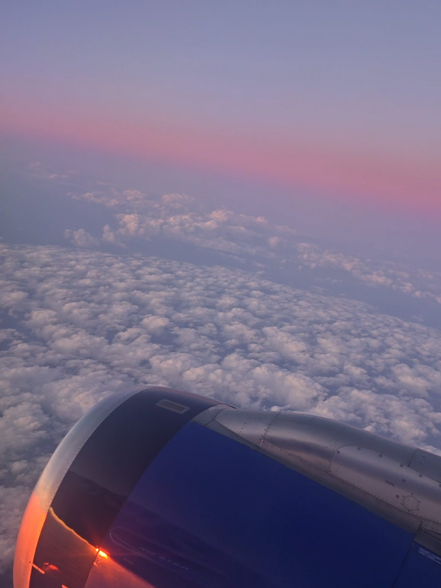 @*&bull;.&cedil;♡ 𝕵𝖊𝖘𝖘𝖎𝖈𝖆 ♡&cedil;.&bull;*🇬🇾