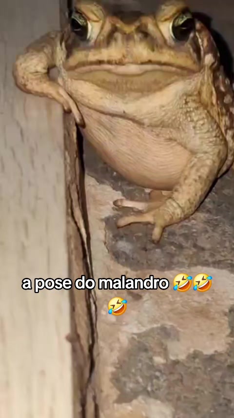 @adriano