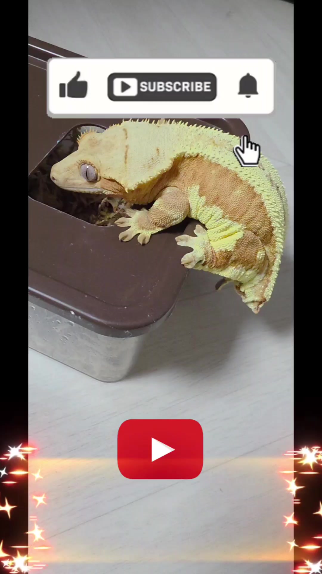 @크레크도- keulekeudo