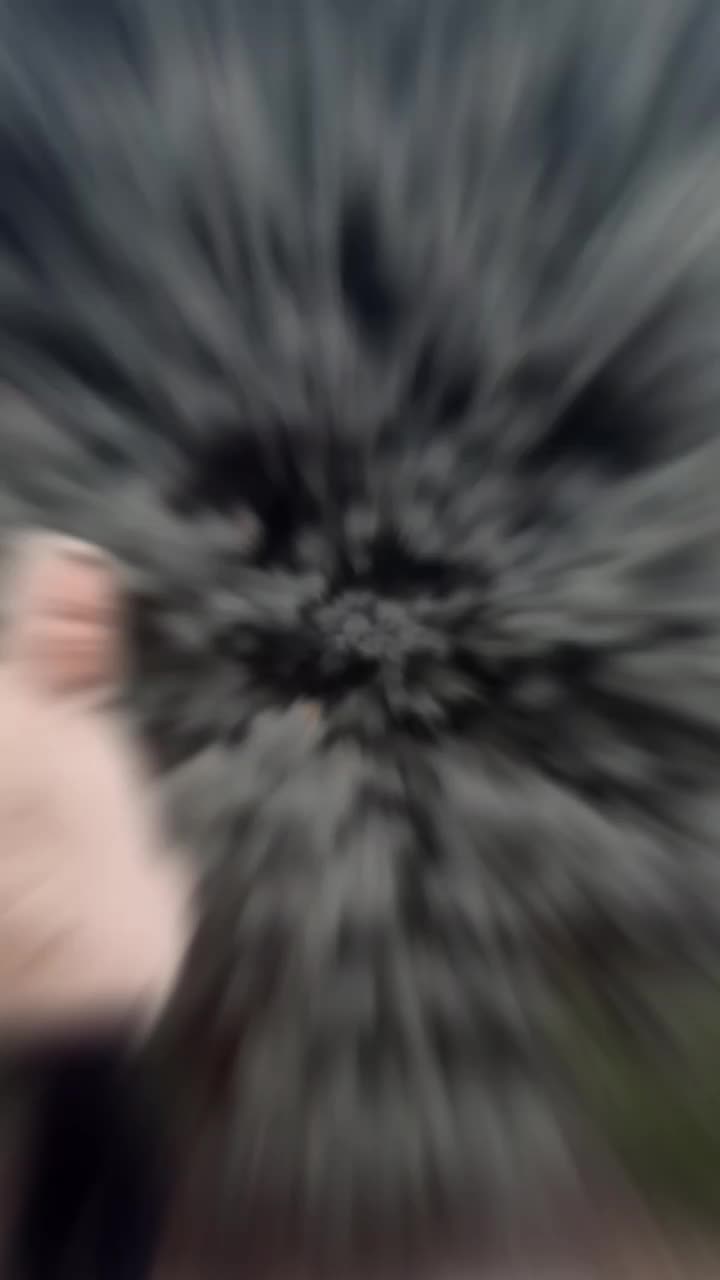 @Алёна