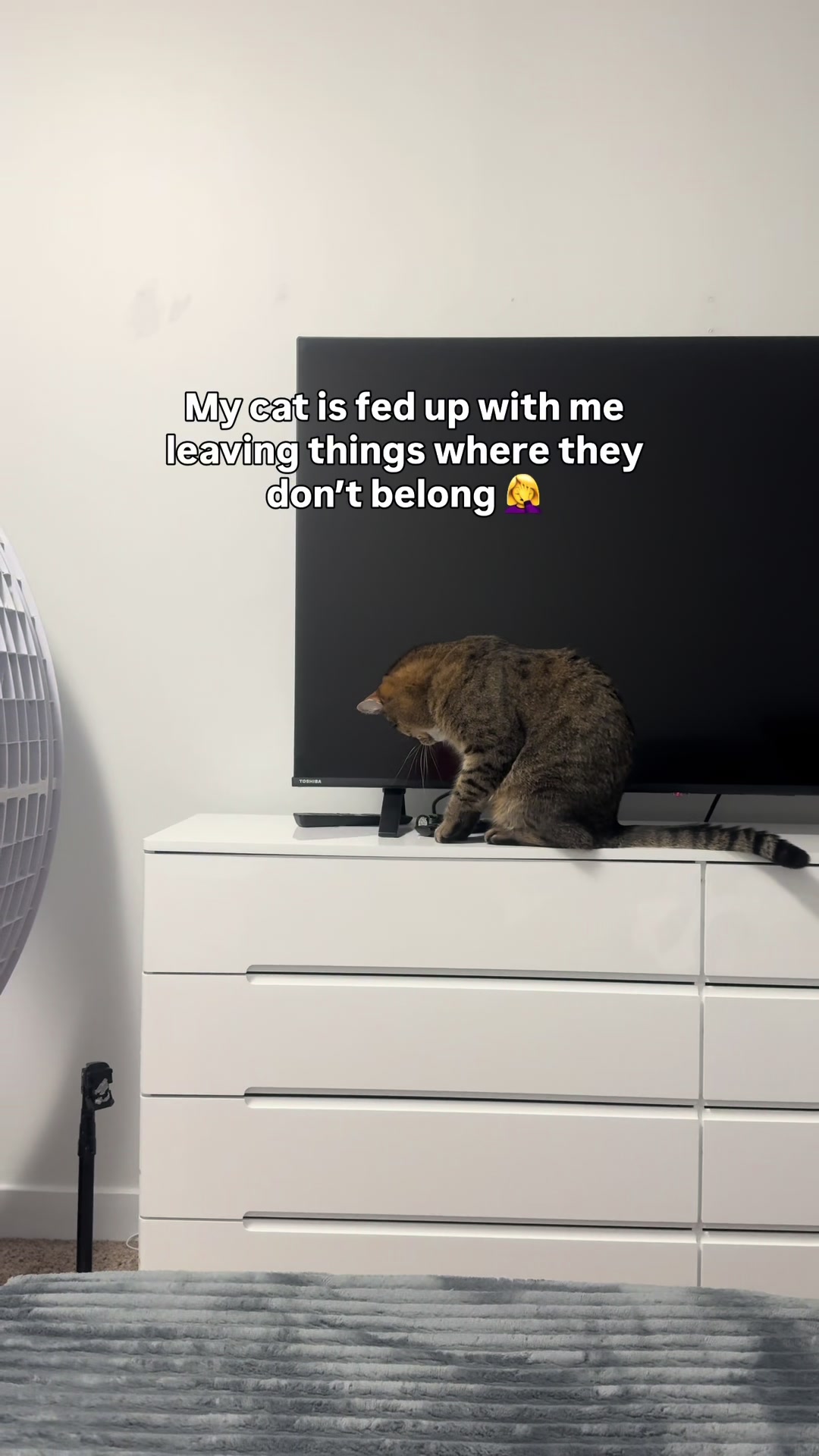@Three Nawty Cats