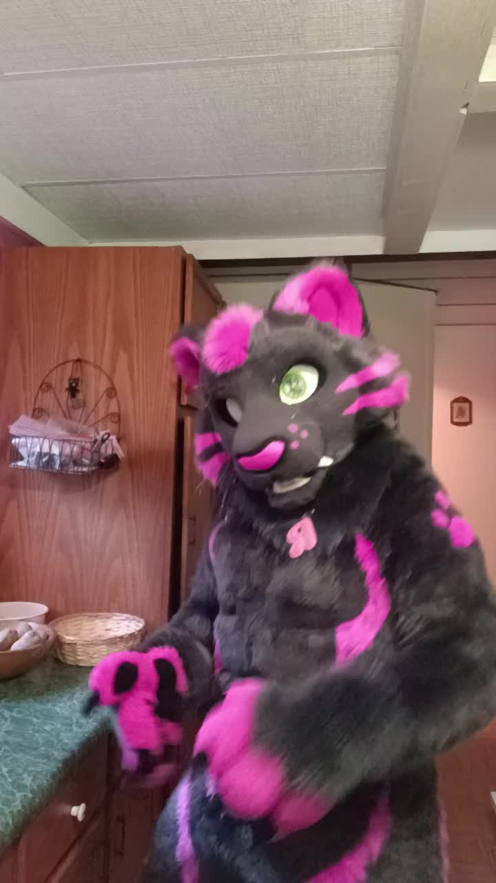 @dingbat 🐾 mew,mew 🐾