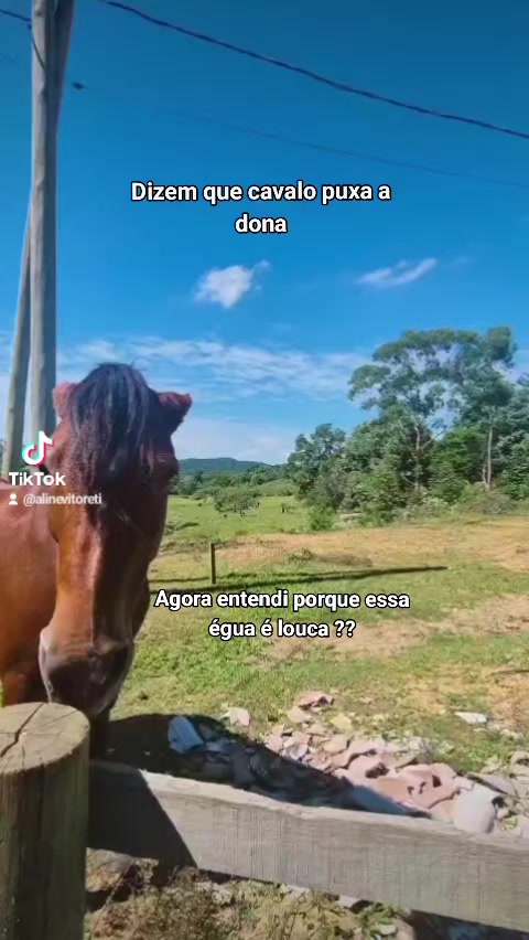 @Aline Vitoreti