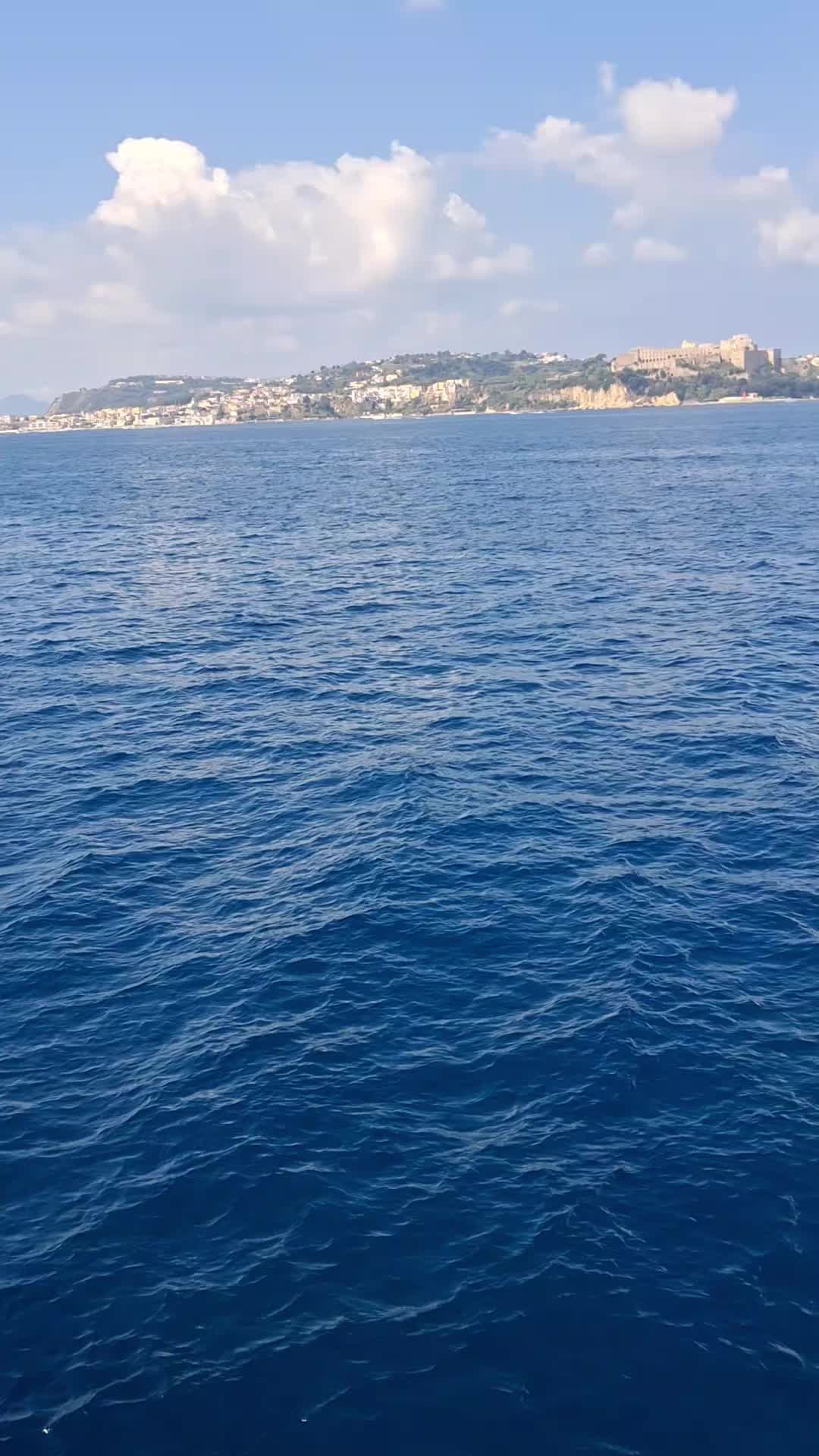 @Francesca Bellomo