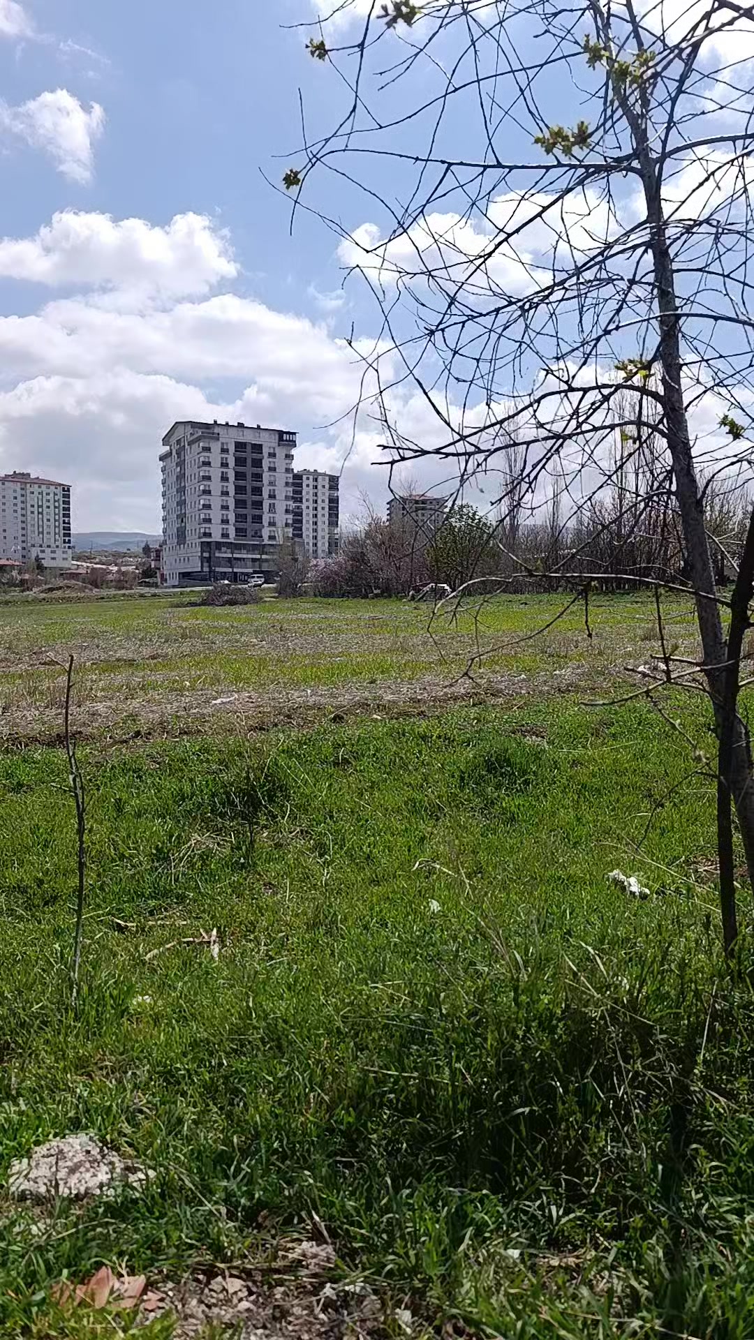 @Gizem Aygün.19