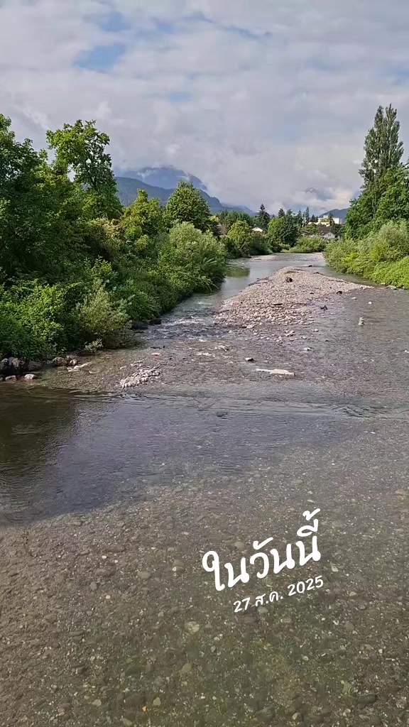 @เพชรมณีเจ้าหมาขายดี