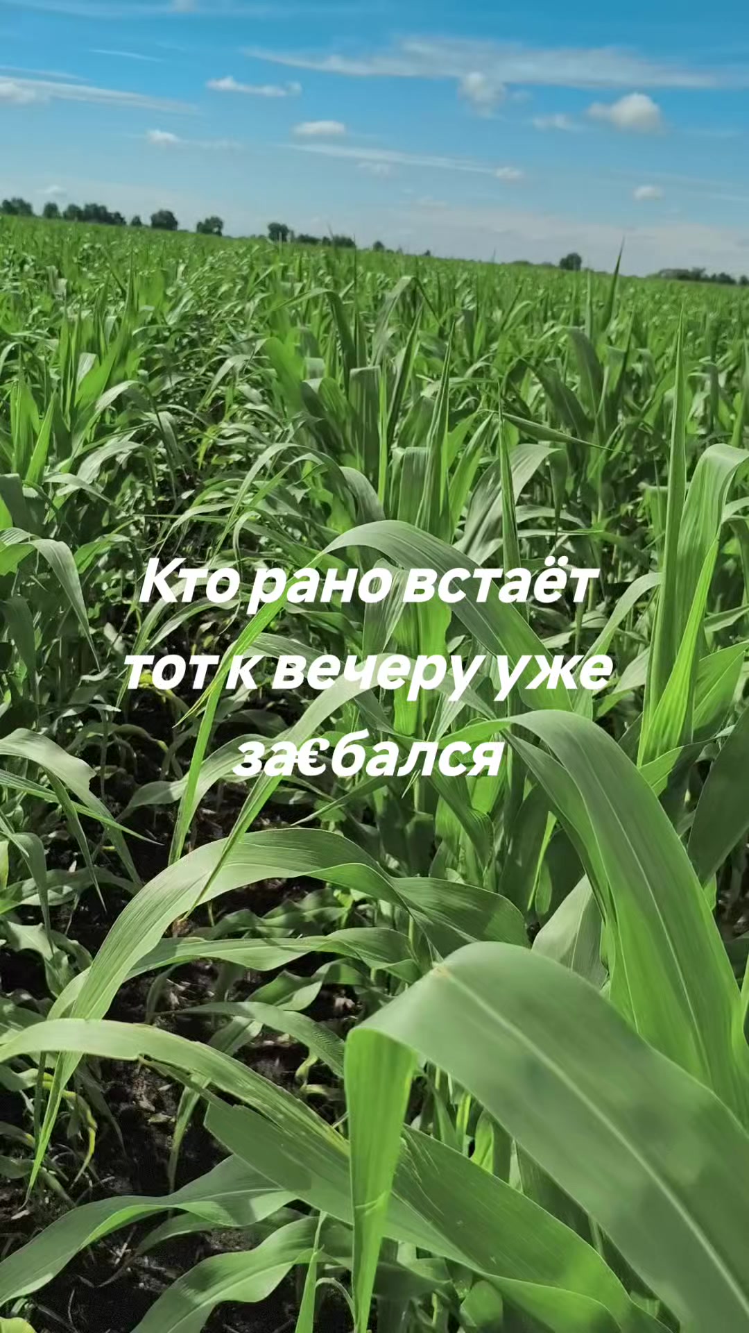 @Назар Конопля