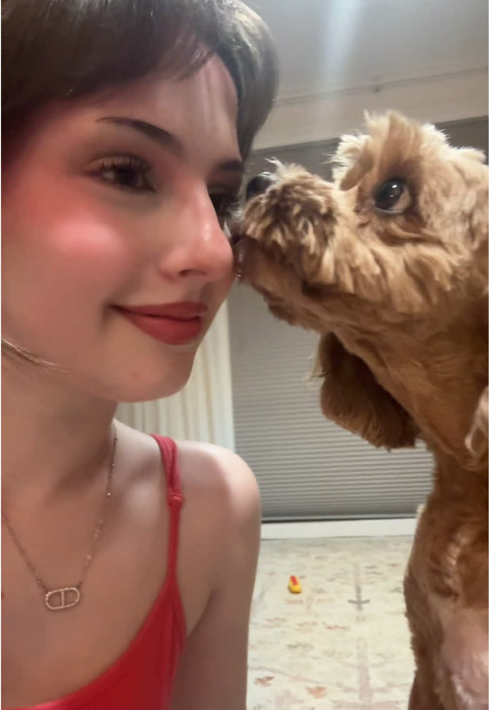 @bella❦