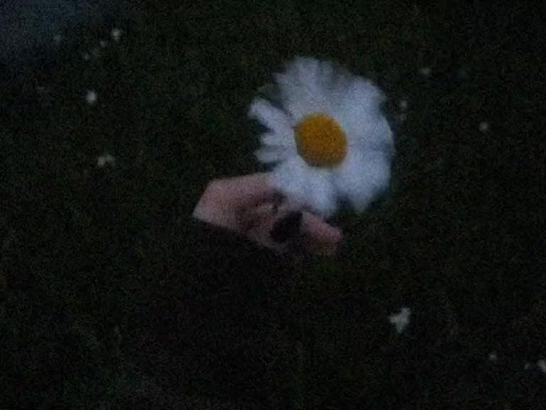 @Avsti