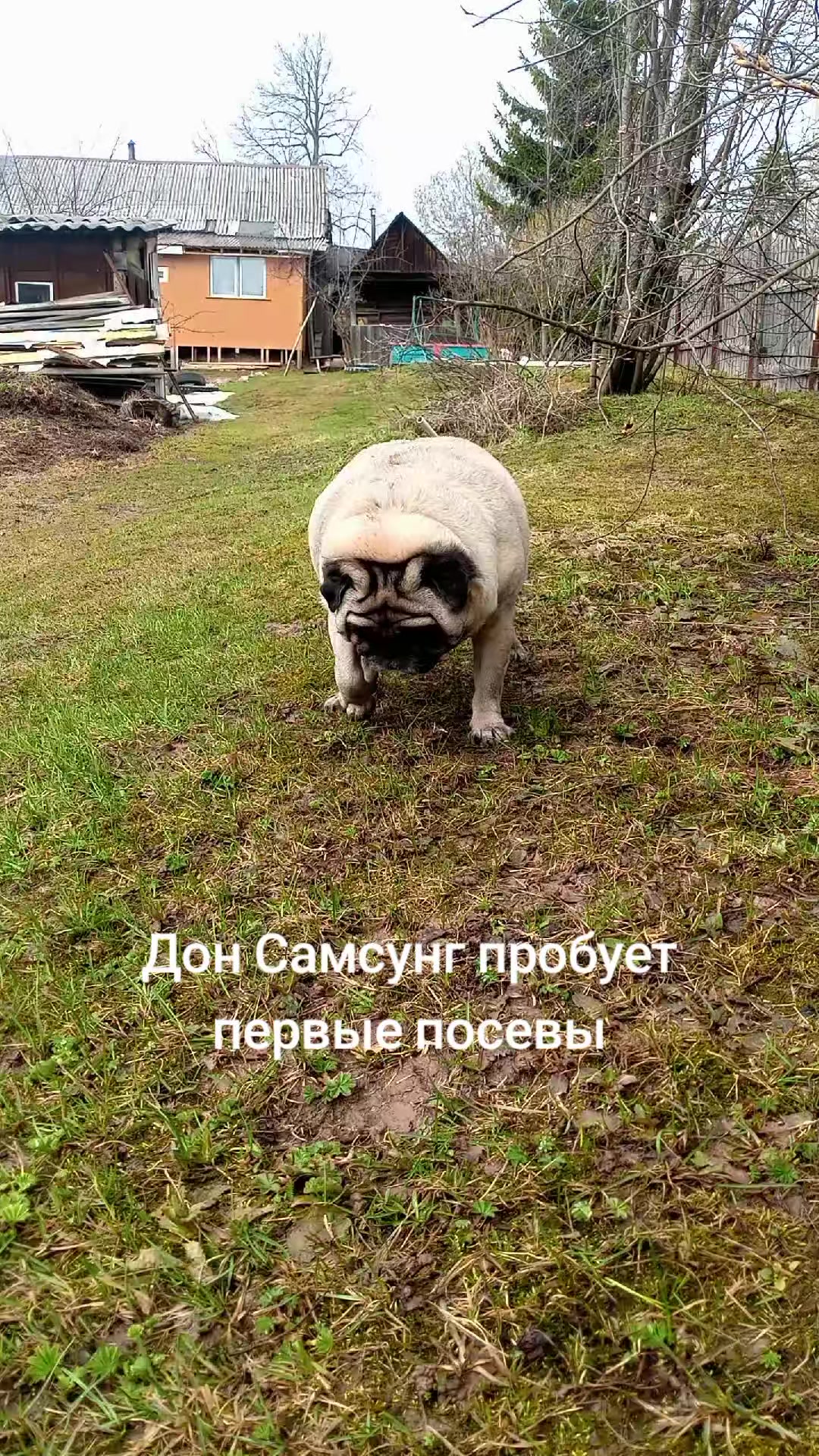 @tg: SamMops76