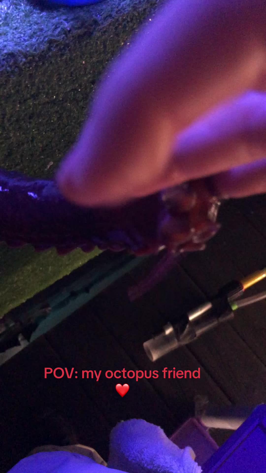@Kay Bug 🦂