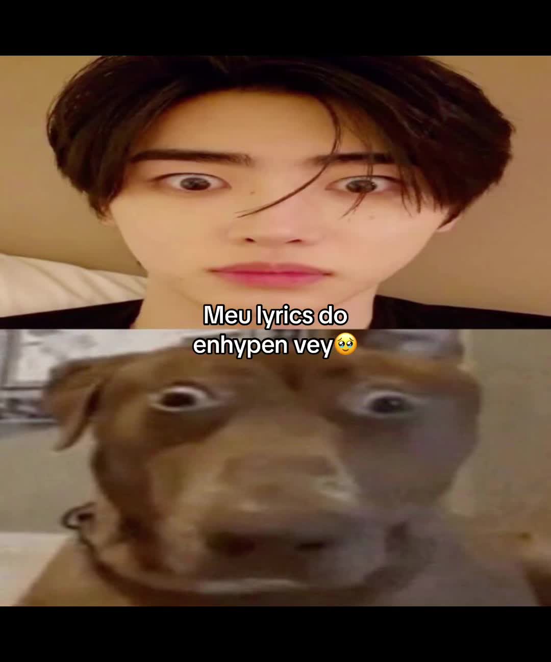 @maraia (biggest hendery utted)