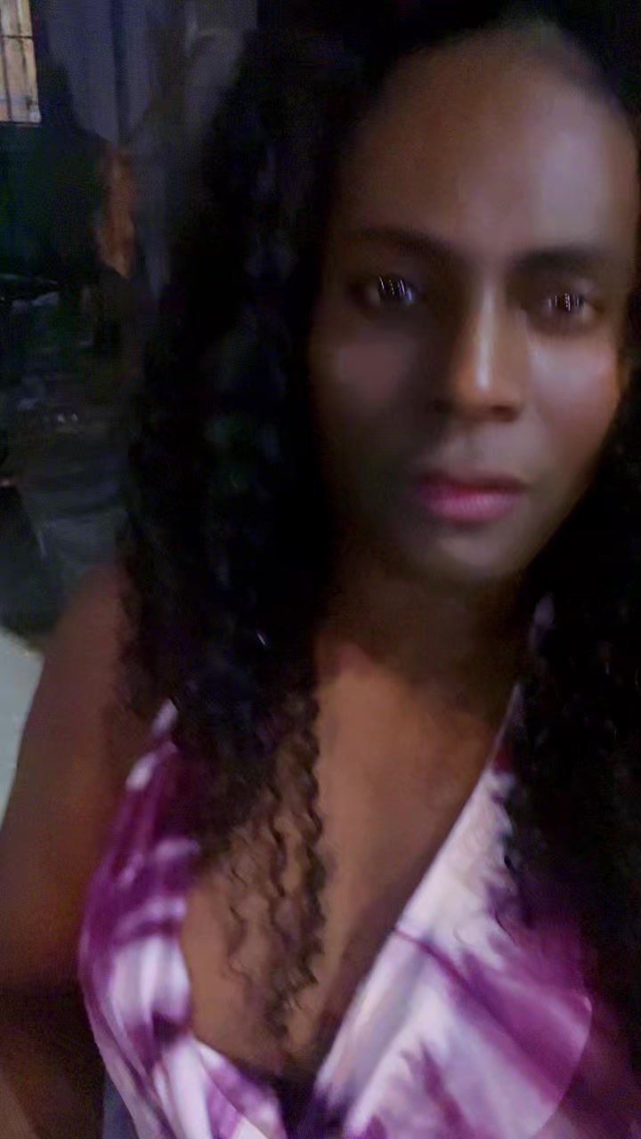 @trans da nittrans