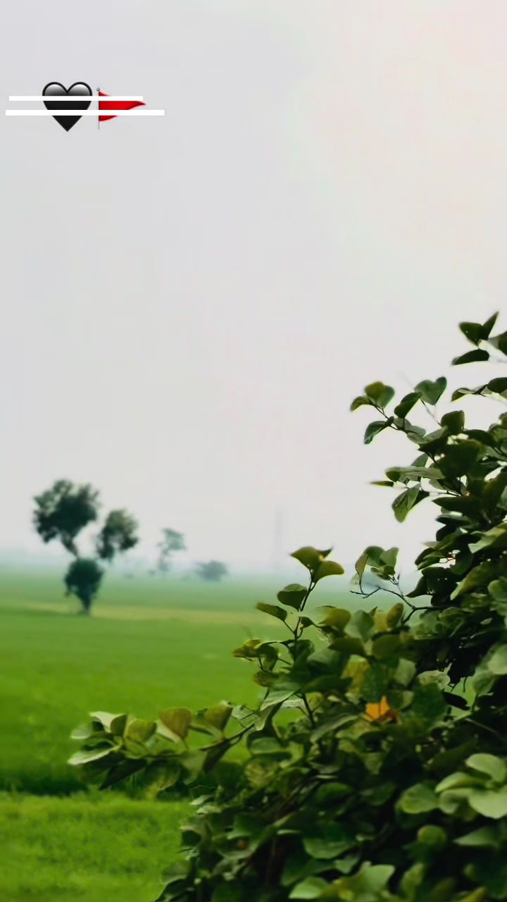 @کا ظم چيمہ 🔰