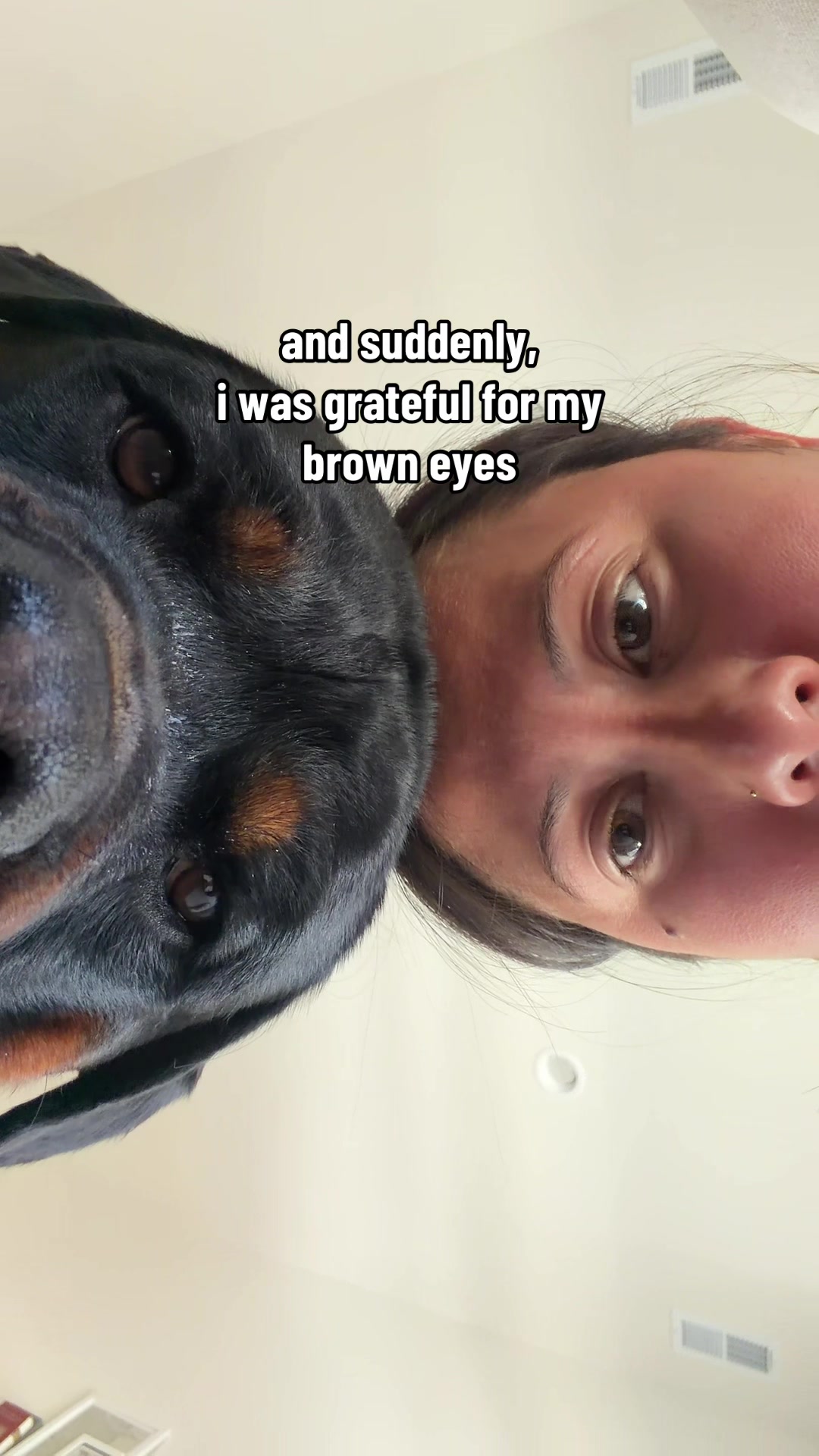 @Rex the Rottweiler