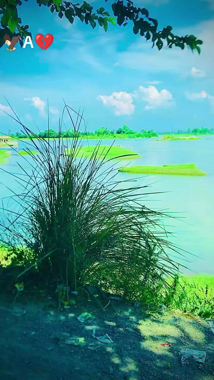 @ZAiD 🦅555 سرکار 🦅