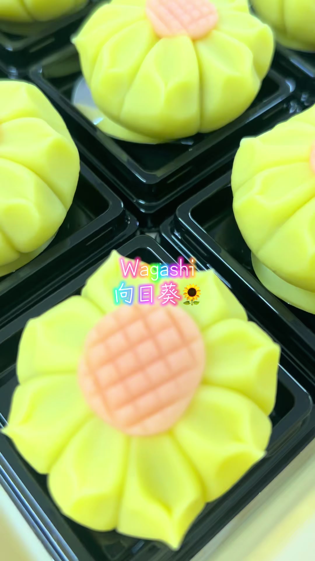 @WAGASHI_DREAM