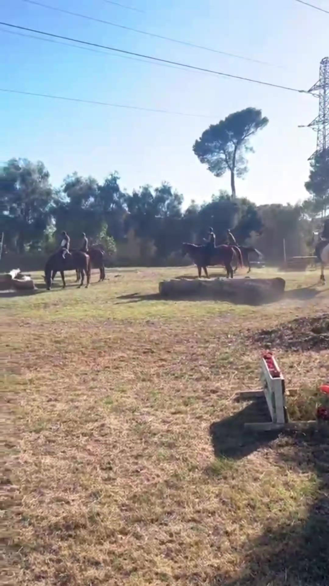 @haras de castille