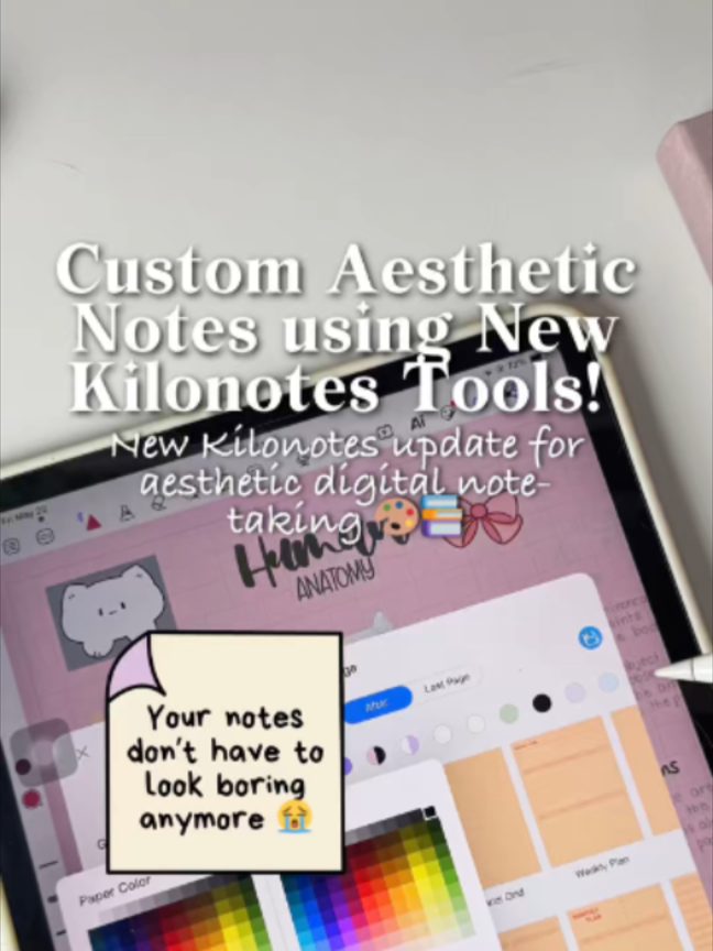 @Create with kilonotes | Sophia