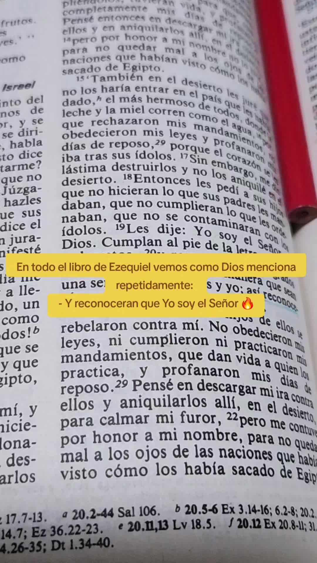 @JannetVaraOficial
