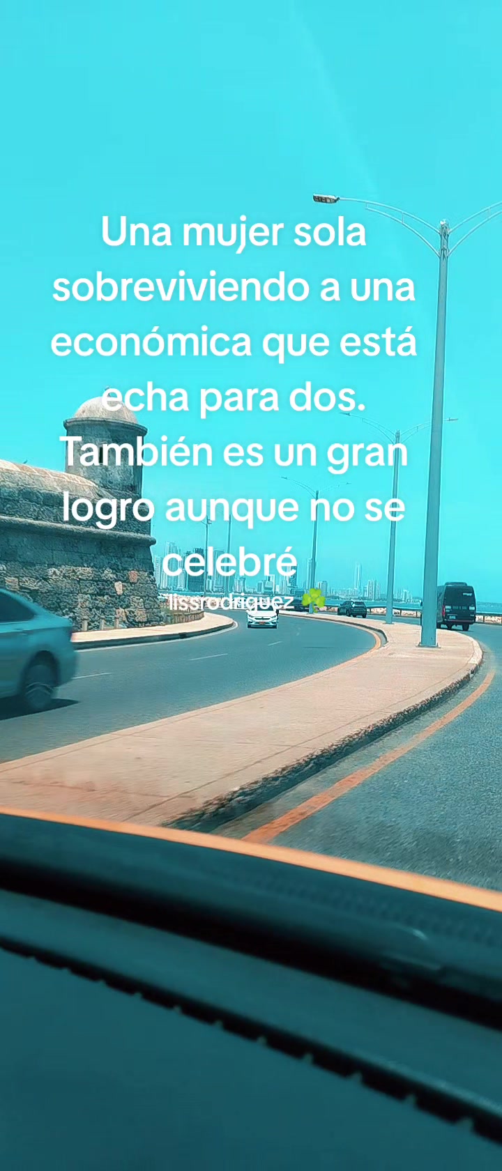 @lissrodriguez1219