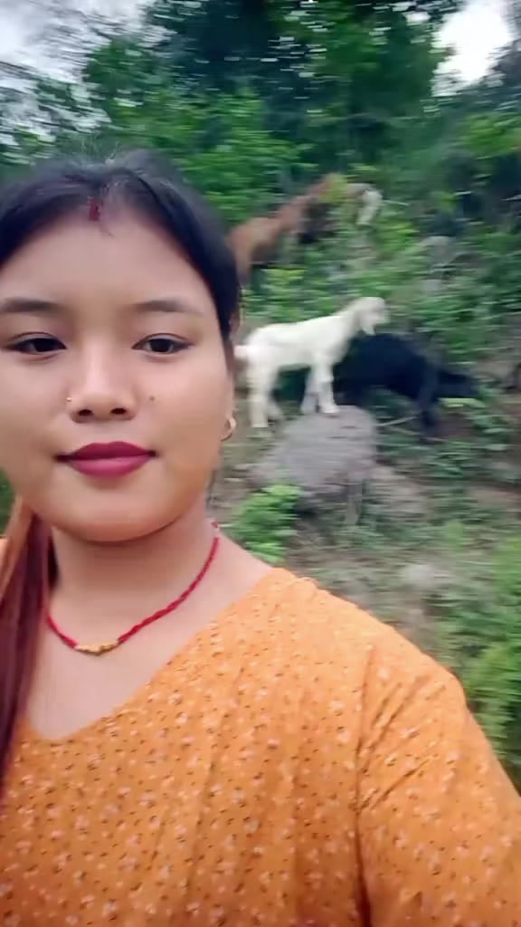 @Rajani Ghalan🌺🥀