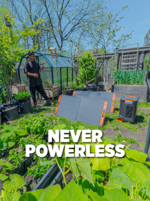 @Planted in the Garden