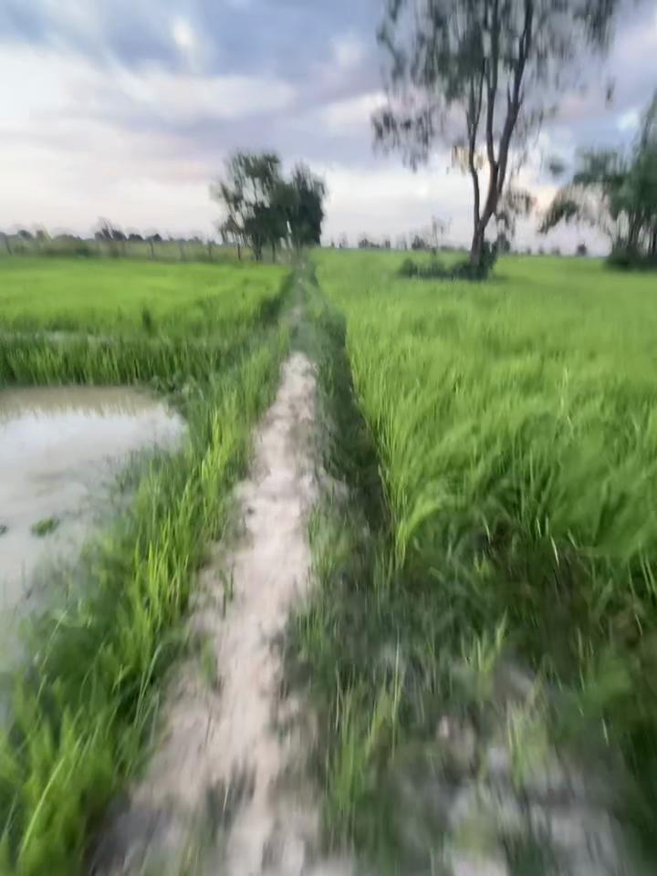 @C H E M-๐ถแฅซแญก