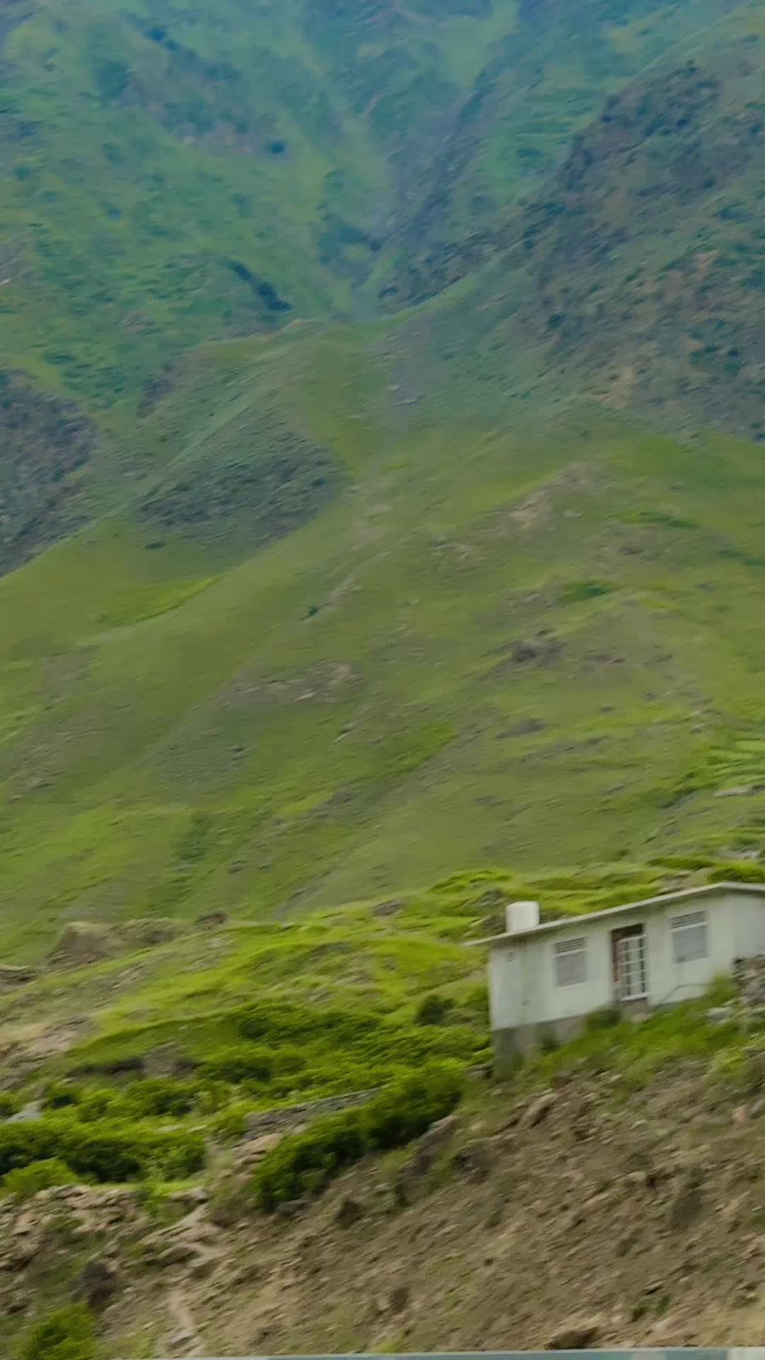 @么ShzDu乂