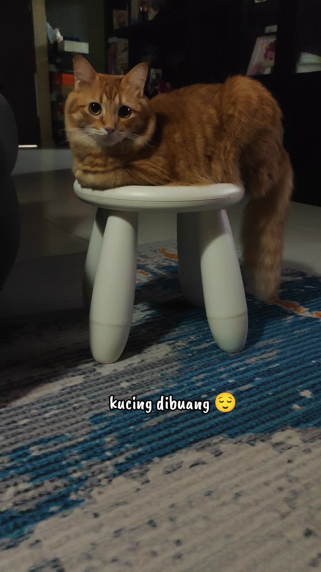 @Omma Kucing 🇲🇾🍉