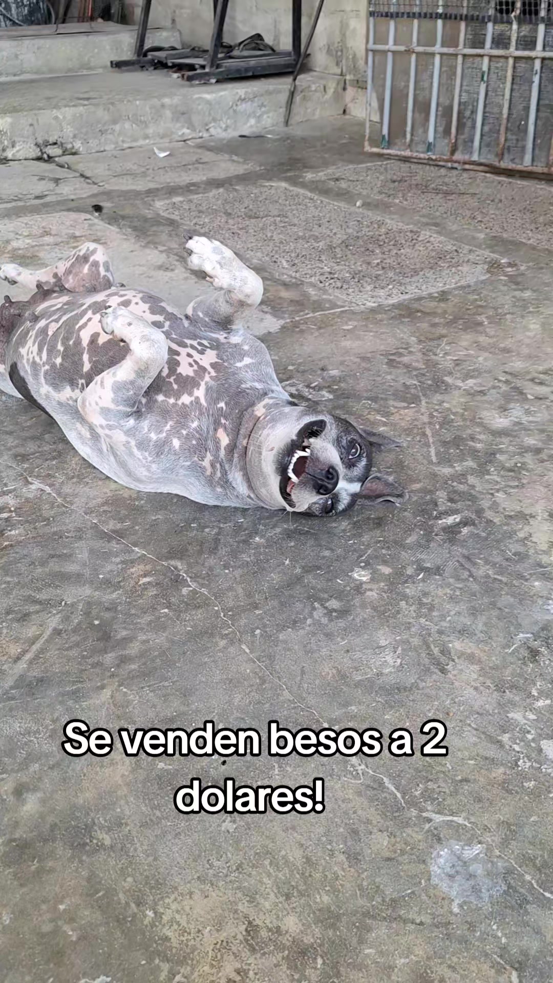 @MANCHAS 0714 OFICIAL