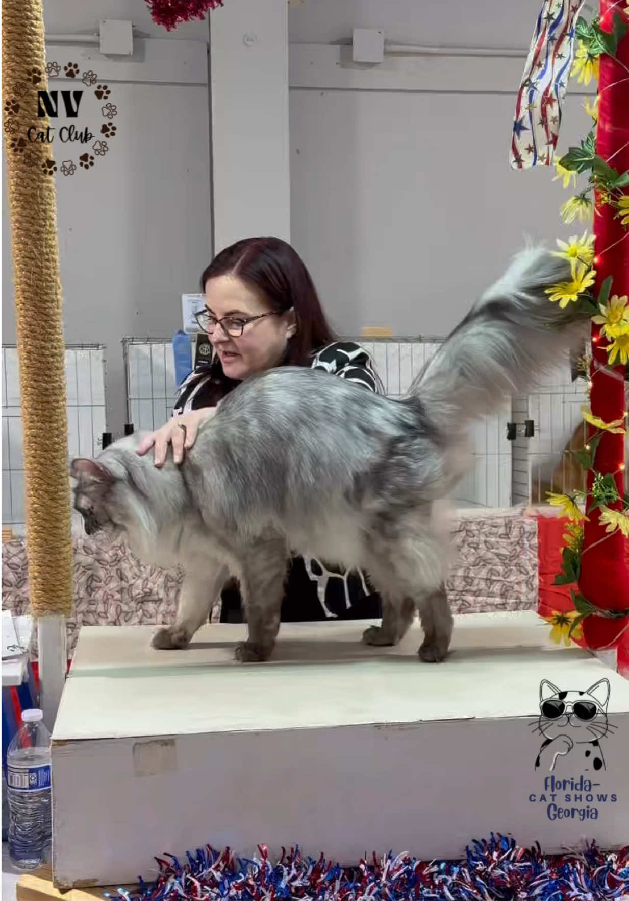@NewVisionCatClub