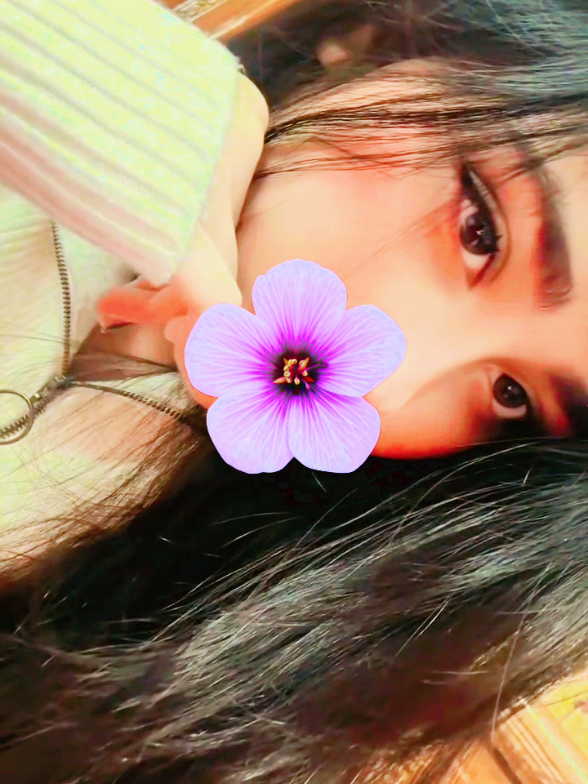 @𝄞🎀✿𝙥𝙞𝙘𝙘𝙞☘︎𝐛𝐨𝐰✿🎀𝄞