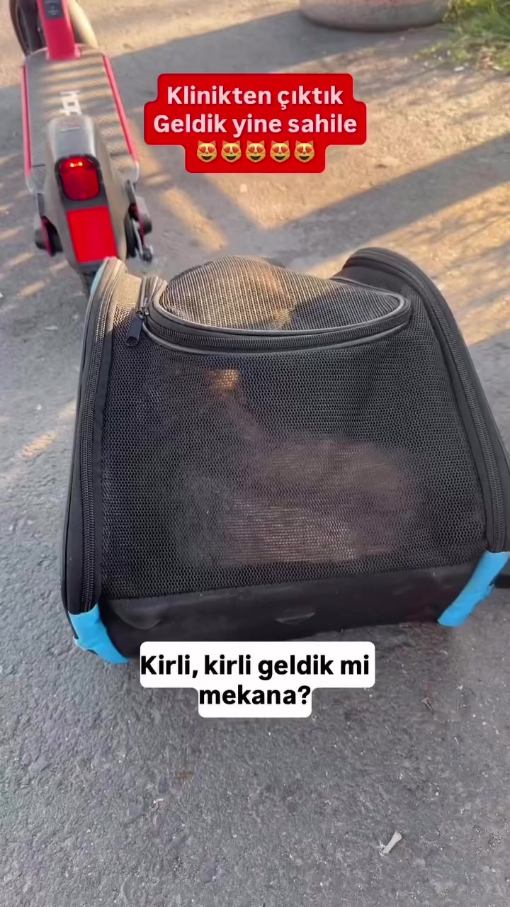 @Salim Kuntoğlu