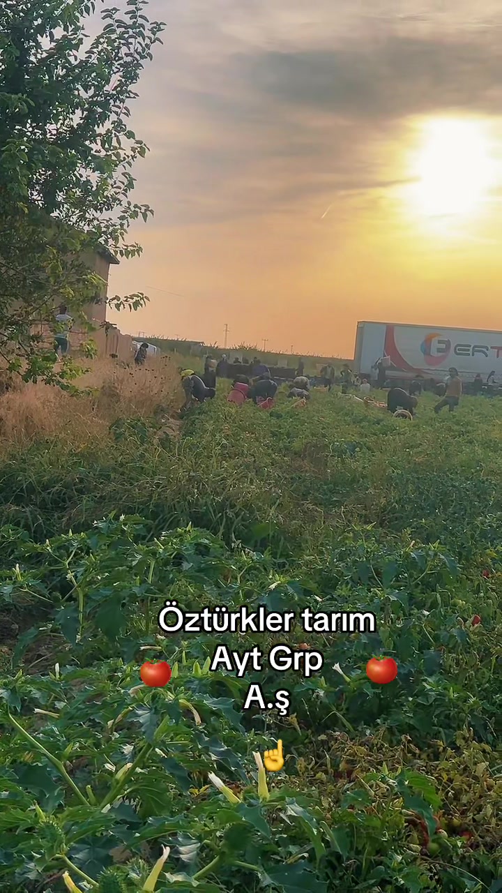 @Rıdvan Öztürk