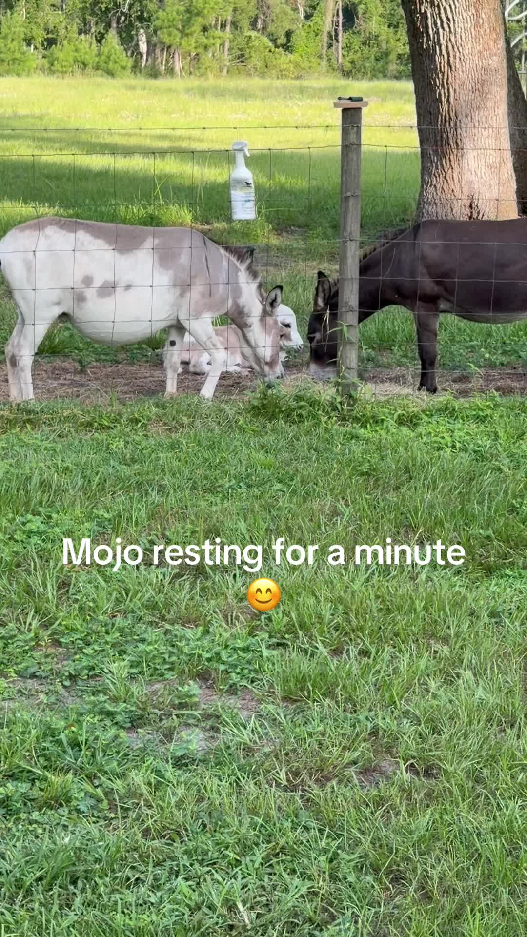 @Kelley Farms