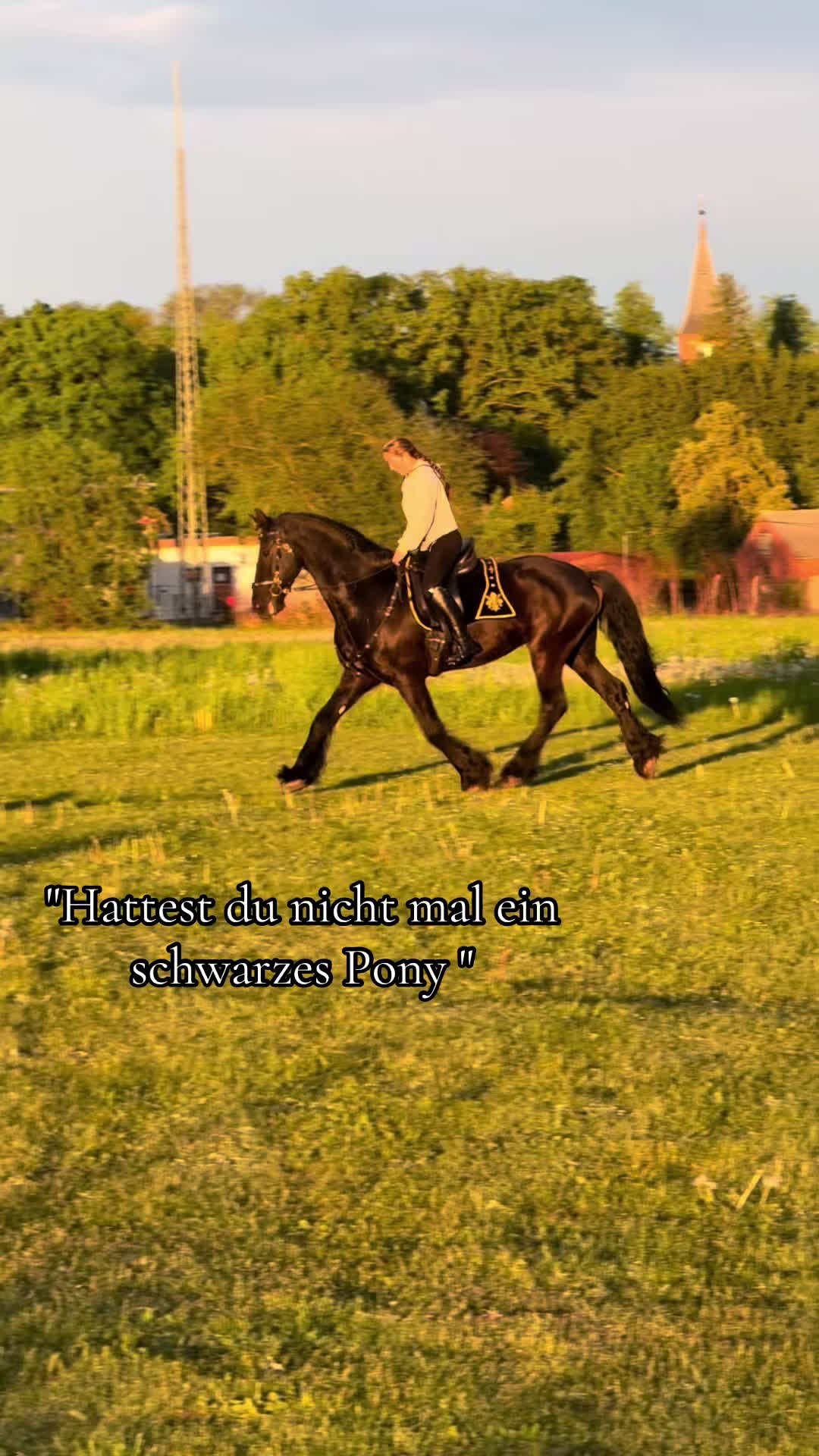 @Horses