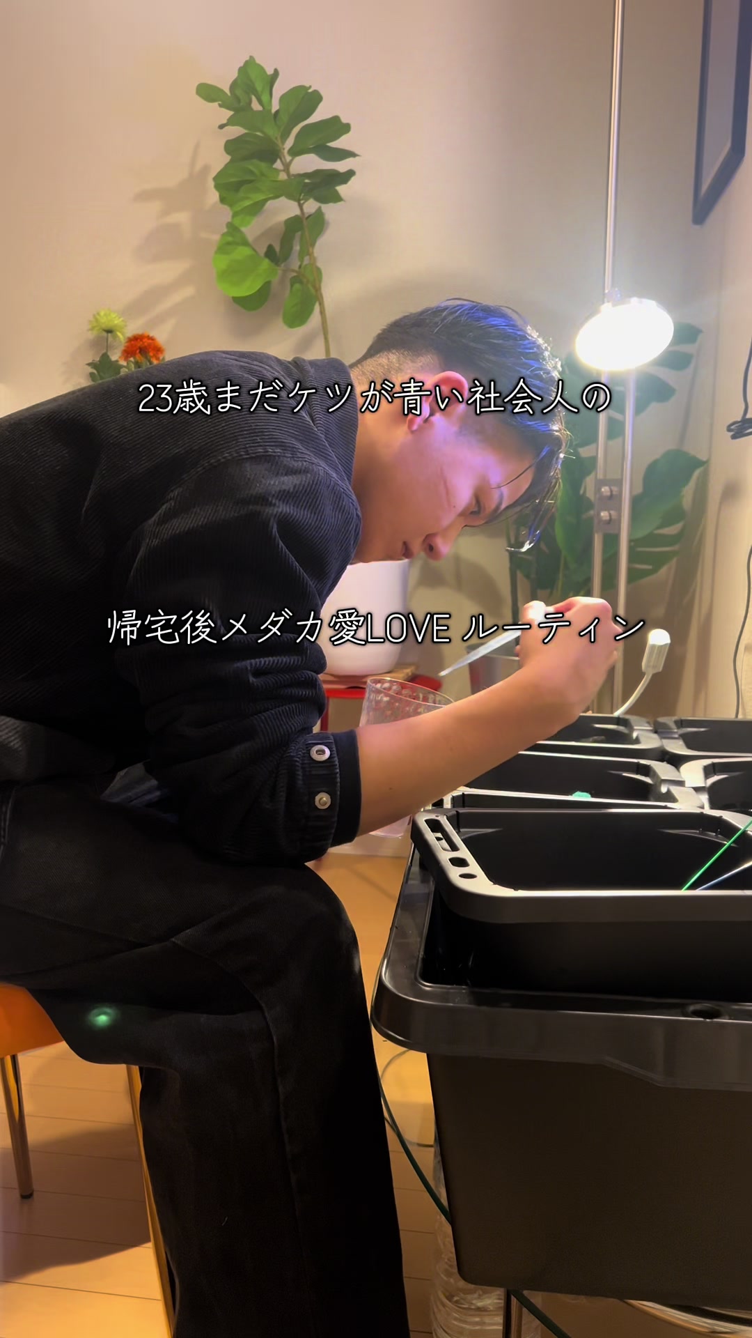 @メダカ屋の見習い🔰