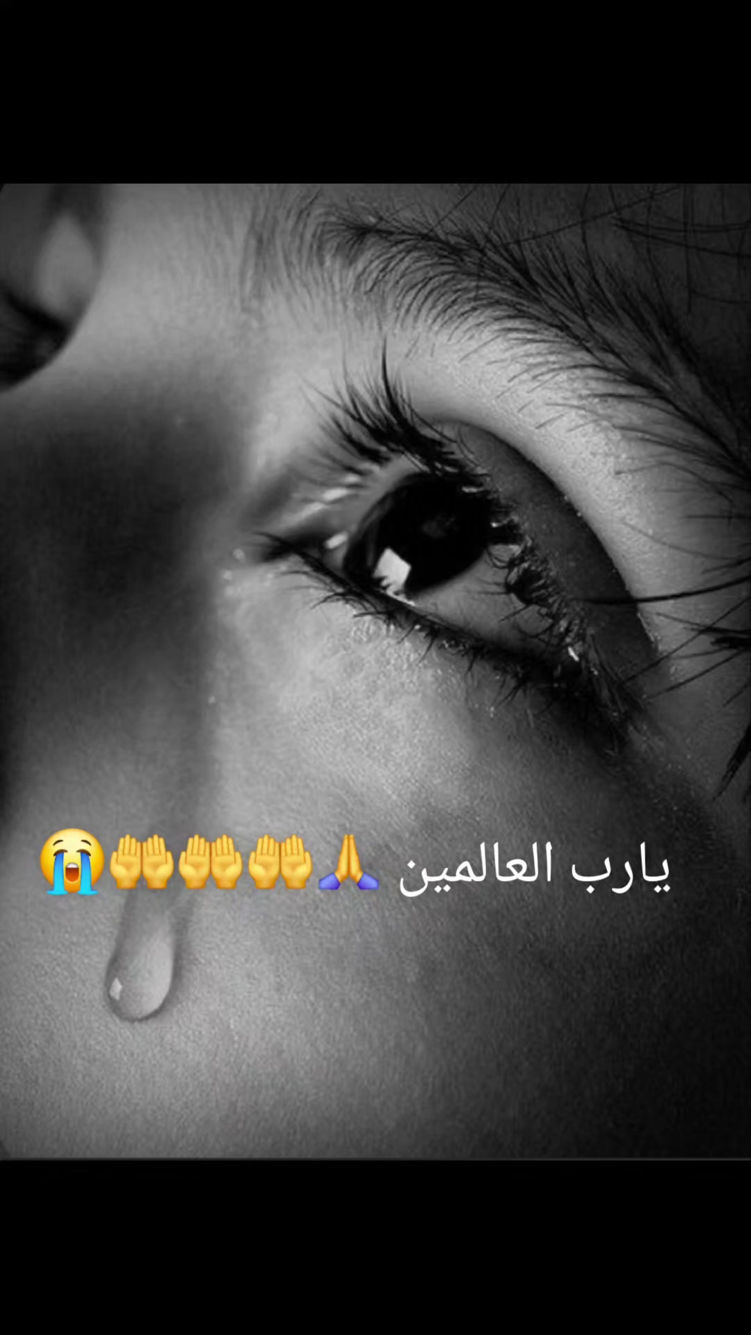 @𝙆𝙖𝙨𝙝𝙢𝙞𝙧𝙚𝙟𝙪𝙩𝙩🍁کاشر