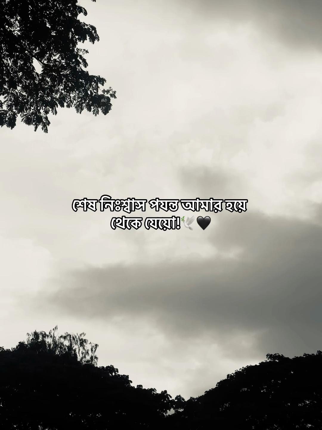 @𝗔𝘇𝗶𝘇𝘂𝗹_🧃🌷
