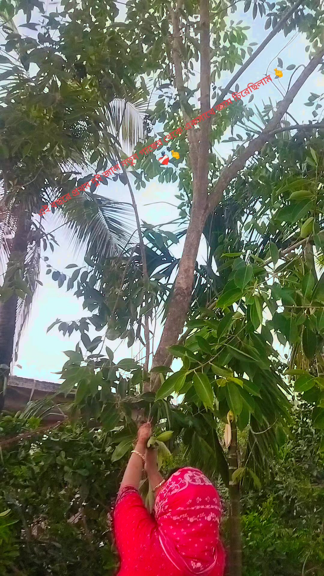 @🥰 মা-বাবার রাজকন্যা 🥰