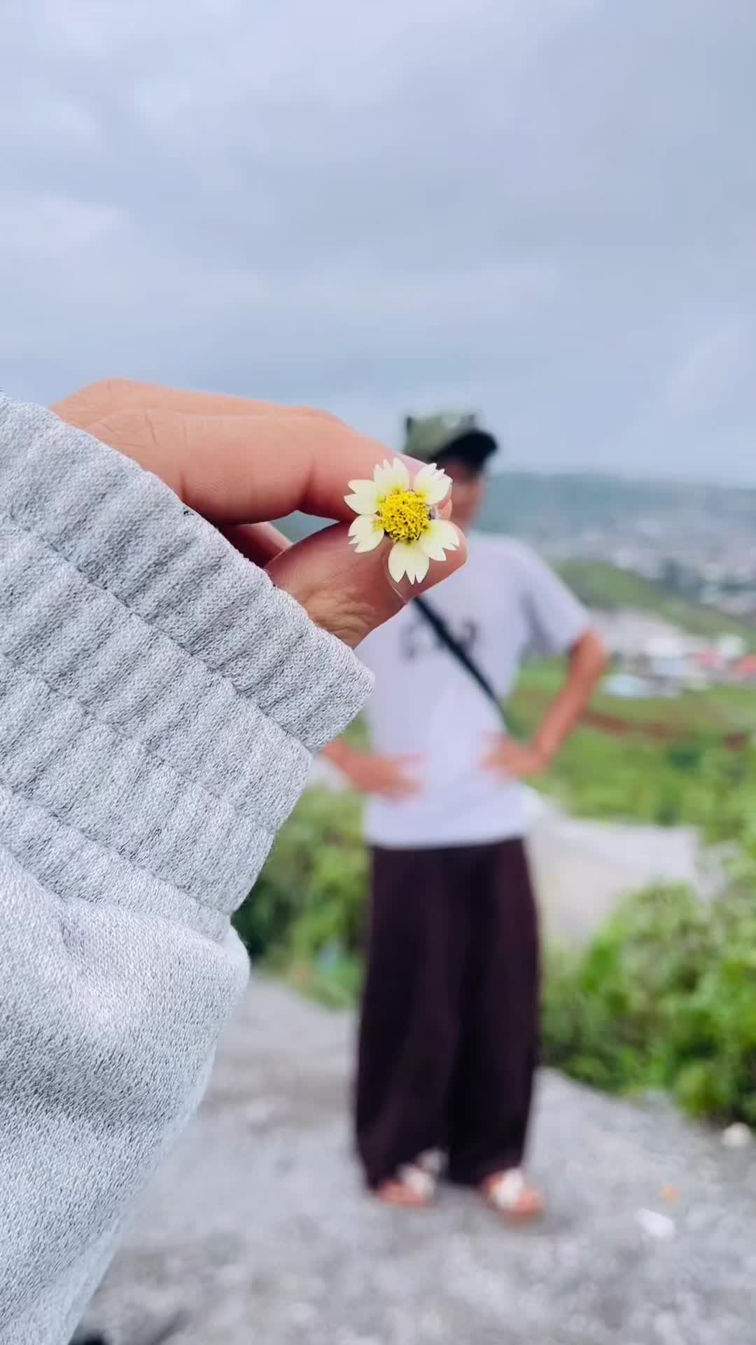 @Aᴍᴀʀɪᴢᴀ