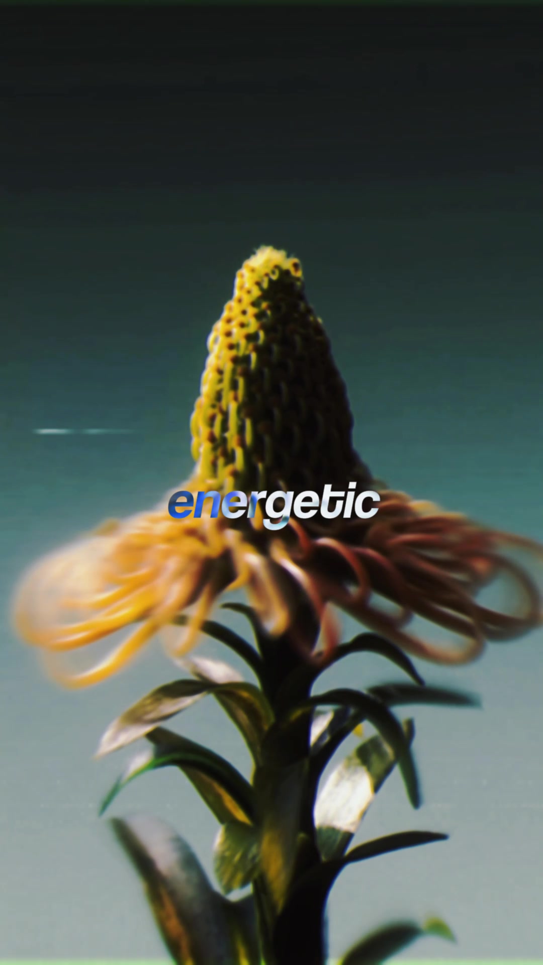 @Embodiment Celestial
