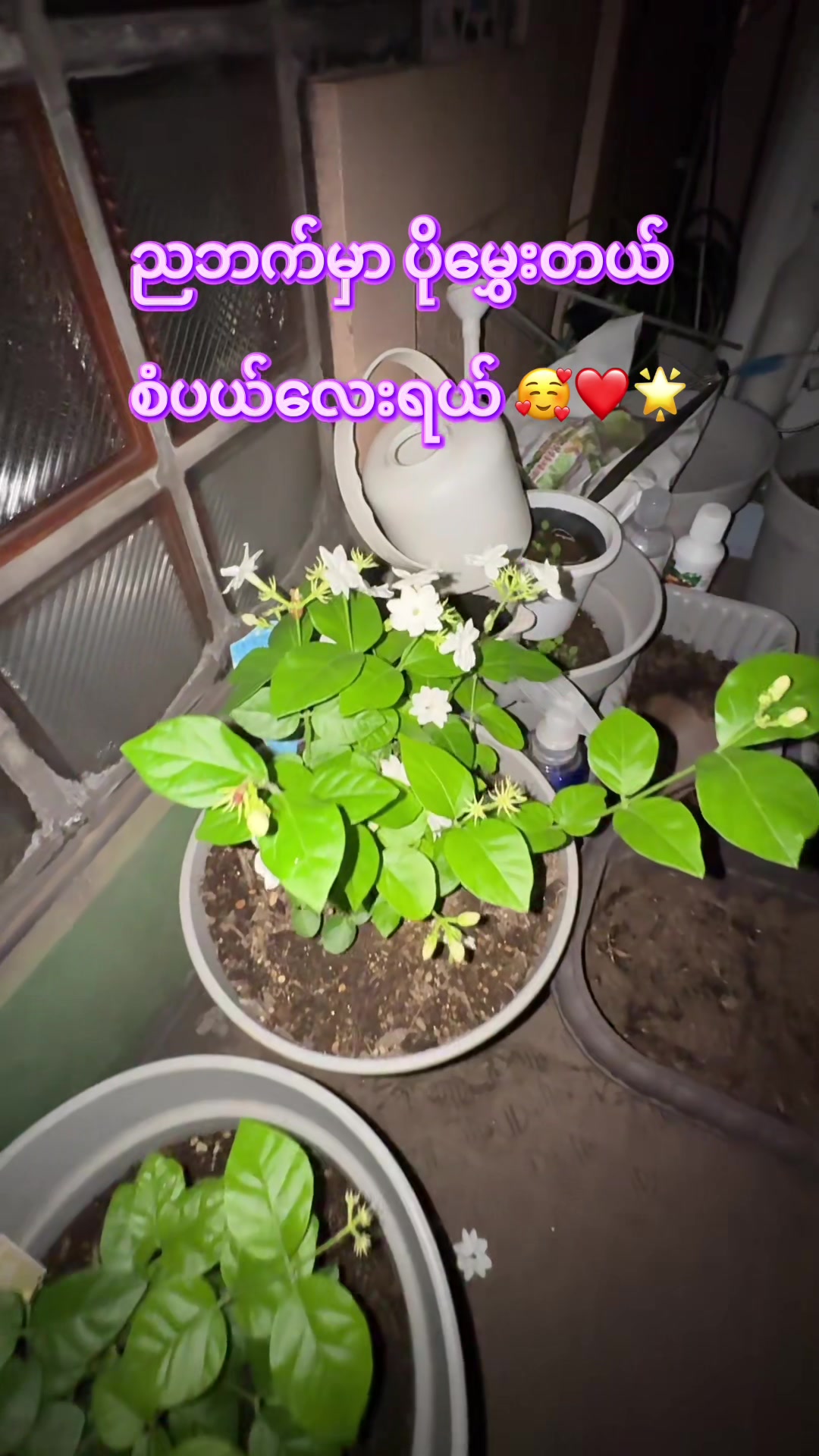 @🕊️CozyWithNyein 🕊️✨