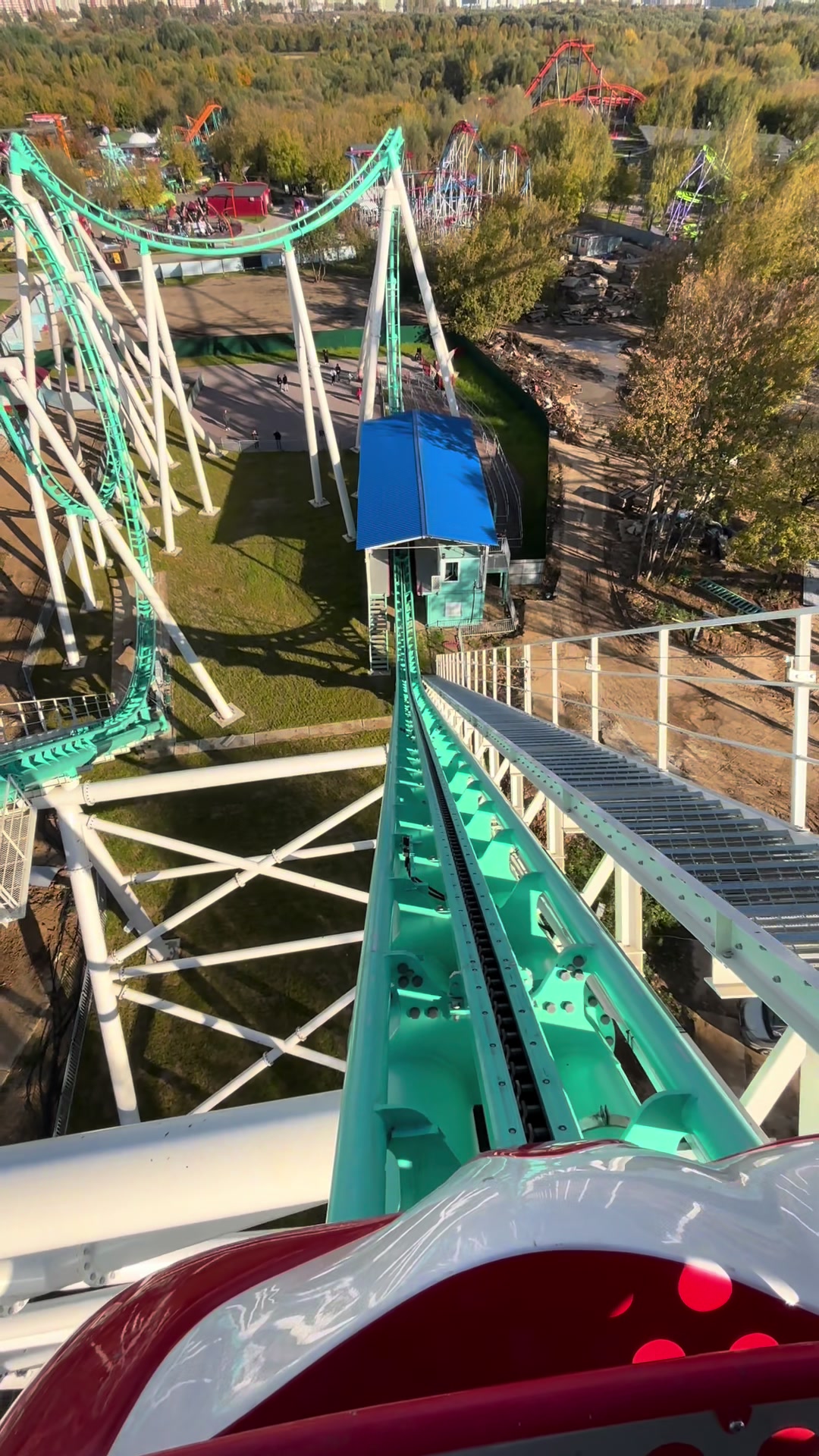 @сыч