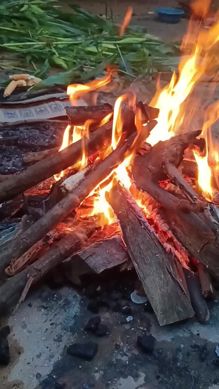 @royzikin_ahmad