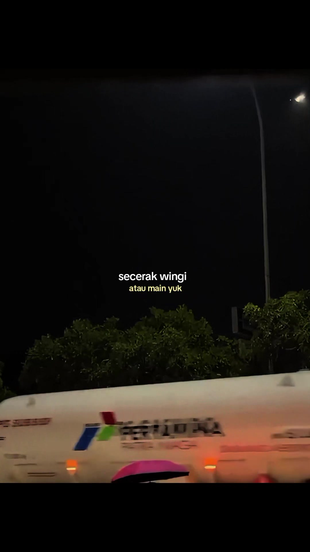 @𝐀𝐃𝐈𝐓 | 𝐓'𝐖𝐑𝐆