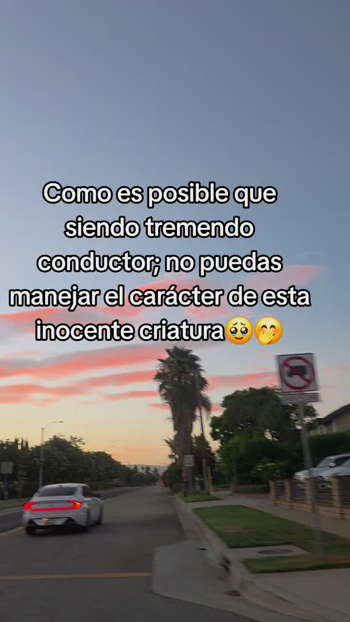 @Celene Fernandez